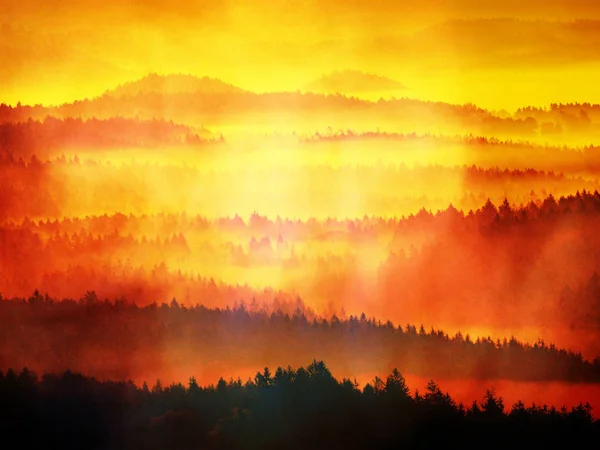 Abstract effect. Dreamy landscape lost in thick fog. Fantastic morning glowing by gentle sunlight, — Stock Photo, Image