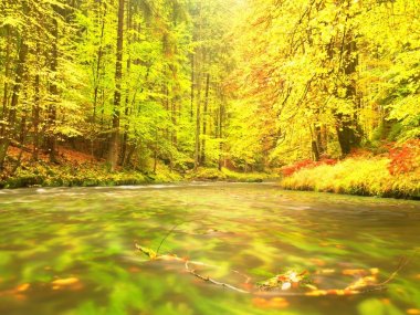 Parlak sonbahar renkleri nehirde de akşam. Hava yağmurlu bir gün sonra nem.