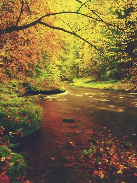 Pôr do sol sonhador acima da montanha na floresta de outono. Névoa colorida entre árvores nas margens dos rios — Fotografia de Stock
