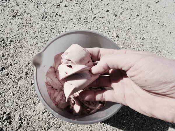 Las tripas de pescado fresco. Los hígados de bacalao se acumulan en un recipiente de plástico gris en el suelo arenoso del mercado callejero — Foto de Stock