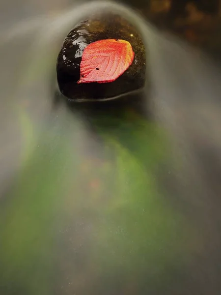 Hoja roja de frambuesas. Hoja roja anaranjada rota atrapada en piedra negra en los rápidos del arroyo. Líneas de plata de burbujas — Foto de Stock