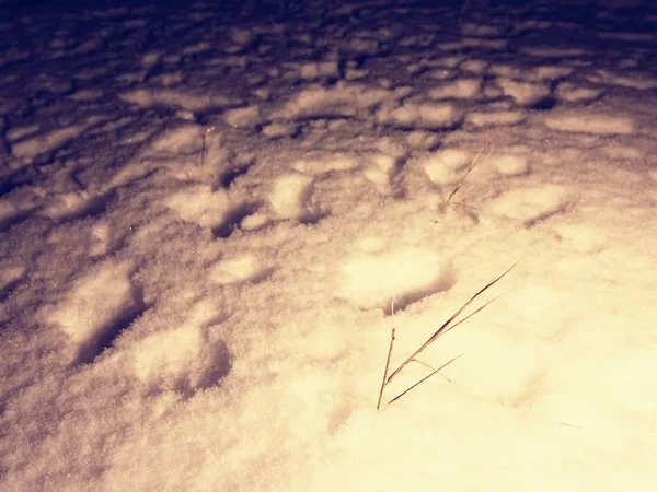 Поиски человека исчезли в зимнем пейзаже. Человеческие следы в глубоком снегу . — стоковое фото
