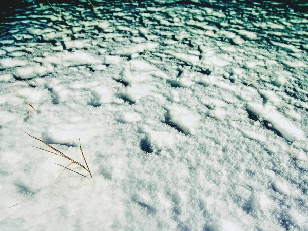 눈 덮인 초원에서의 발자국 헤드 램프의 희미 한 빛 긴 그림자를 만든다. 냉동된 줄기 — 스톡 사진