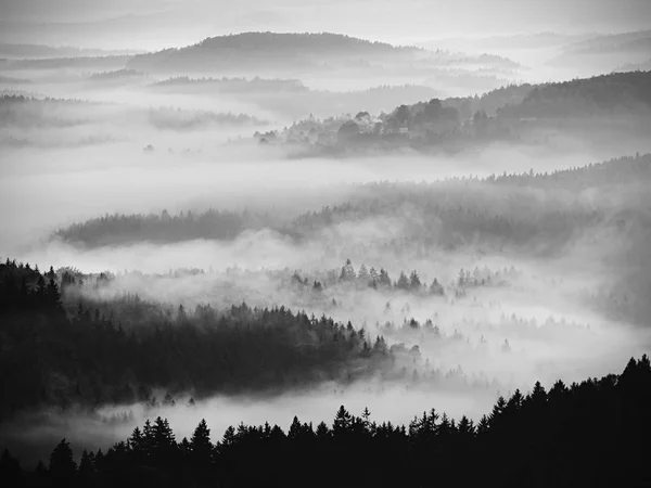Autumn sunrise. Deep forest in a beautiful hilly landscape within inversion weather. — Stock Photo, Image