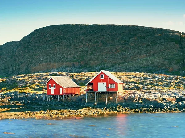 Paesaggio Rurale Norvegese Tradizionale Casa Legno Rosso Bianco Isola Rocciosa — Foto Stock