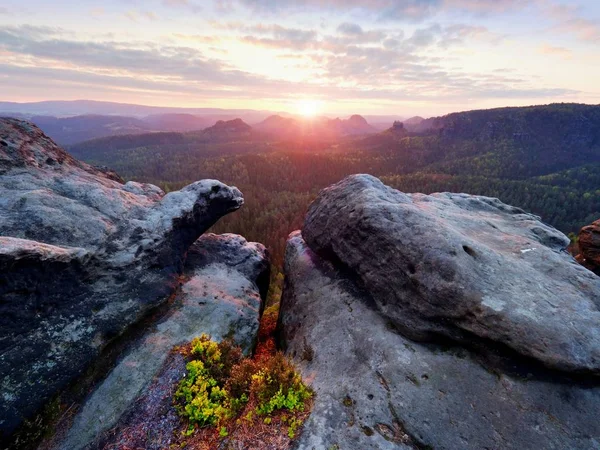 Morning view over sandstone cliff into misty valley. Sandstone peaks increased from foggy cloud — Stock Photo, Image