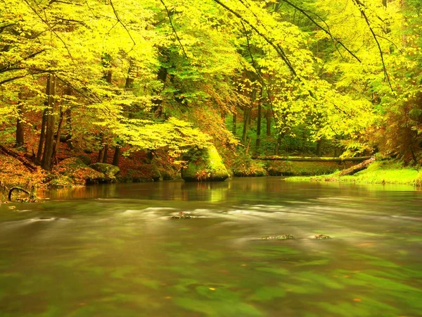 Herbstliche Natur. schöner Herbstwald mit Gebirgsfluss und bunten Bäumen — Stockfoto