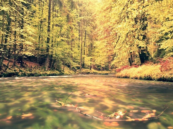 Mooi landschap met wilde rivier in herfst bos — Stockfoto