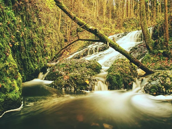 Осенний водопад в базальтовой породе. Сияющие ручьи и множество разноцветных листьев на берегах — стоковое фото