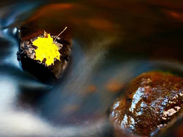 Foglia d'acero marcio su pietra basaltica in acqua scura. Onde sfocate di torrente di montagna — Foto Stock
