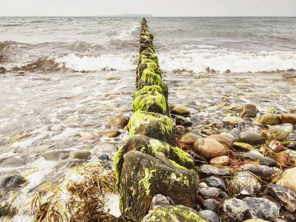 Viejo rompeolas de madera y olas. Clima frío lluvioso en el Mar Báltico  . —  Fotos de Stock