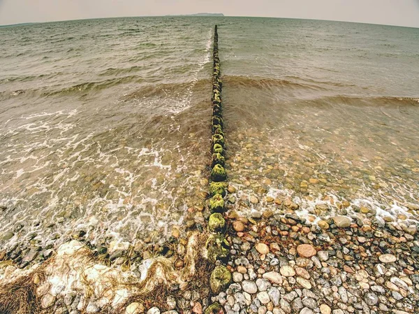 Viejo rompeolas de madera y olas. Clima frío lluvioso en el Mar Báltico  . —  Fotos de Stock