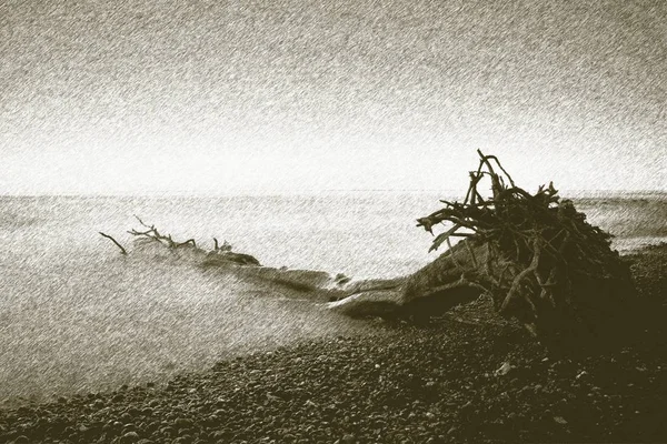 Técnica litográfica. Árbol solitario caído en la costa pedregosa vacía. Cielo oscuro —  Fotos de Stock