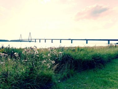 Faroe köprü. İki yolu köprüsü Falster ve Danimarka Zelanda'da bağlanmak