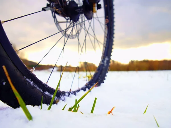 Przednie koło roweru górskiego pobyt w śniegu. Płatki śniegu topnienia na ciemny off road opon. — Zdjęcie stockowe