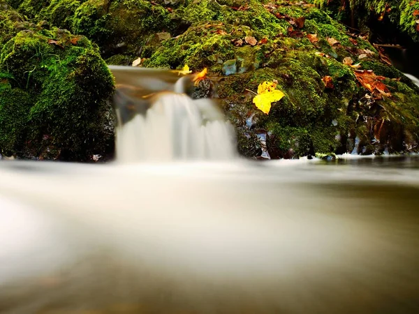 渓流でやな。冷たい暗い水の中の石の上でカラフルな葉。輝く泡 — ストック写真