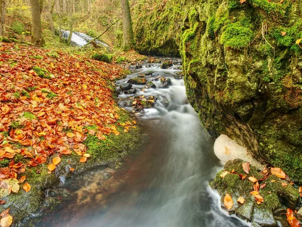 Weir in mountain stream. Colorful leaves  on stones in cold dark water. Shinning bubbles — Stock Photo, Image