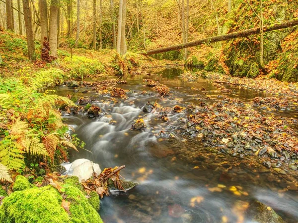 Autumn curved mountain stream on basalt rock.  Clear water makes white rapids between mossy boulders — Stock Photo, Image