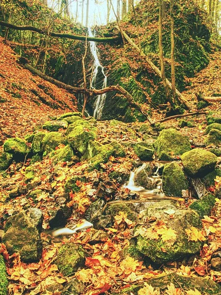 Hösten böjda fjällbäck på basalt rock. Klart vatten gör vita forsen mellan mossiga stenblock — Stockfoto