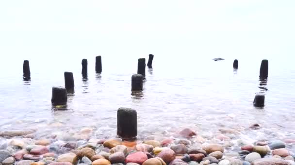 Ποώδη Κρηπιδωμάτων Πόλους Στο Αφρώδες Νερό Της Θάλασσας Αμμώδης Παραλία — Αρχείο Βίντεο