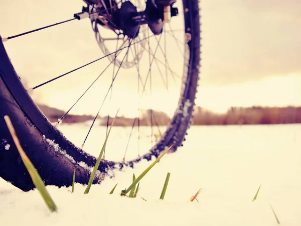 Invierno mtb montar en el país nevado. Vista baja del tobillo a la rueda con neumático de lodo de nieve . — Foto de Stock