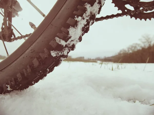 Foto caviglia bassa di hweel posteriore di mtb in cumulo di neve. Foto scattata durante il viaggio in bicicletta invernale — Foto Stock