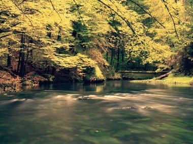 Renkli sonbahar woods ve tabiatı nehirde dağ arasında yürümek. Sonbahar orman 