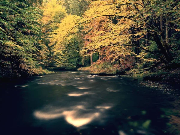 Wonderful autumn nature. Colorful leaves glowing in evening sunlight above  the mountain river — Stock Photo, Image