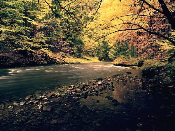 Herbstliche Natur. schöner Herbstwald mit Gebirgsfluss und bunten Bäumen — Stockfoto