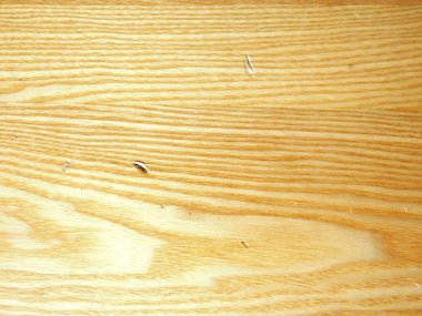 Çam ahşap tahtası detay. Doğal rustik çam ahşap yapısı ve deniz mili