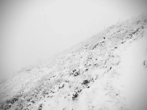 新鮮な粉の雪、濃霧に隠された風景と岩場にクローズ アップ. — ストック写真
