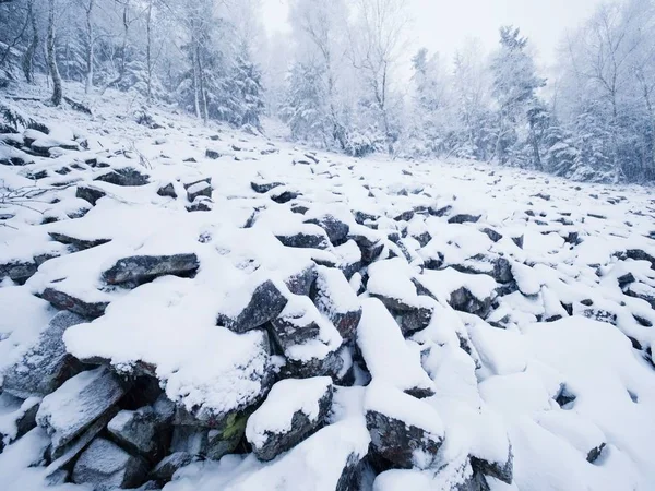Proche du terrain rocheux avec neige poudreuse fraîche, paysage caché dans un brouillard épais . — Photo