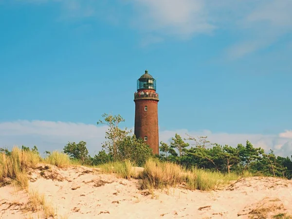 Old lighthouse at Prerow above dunes and pine tree before sunset. — Stock Photo, Image