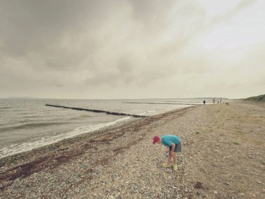 Sarışın çocuk sahilde kabukları için arıyorum. Ahşap dalgakıranlar ile uzun taşlı beach