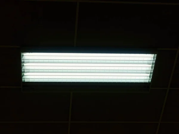 Lighted panel of mercury fluorescent lamp tubes. Lights system in line on ceiling