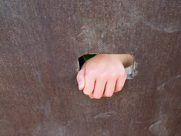 Дитяча рука тримає отвір на дерев'яній скелелазній стіні. Короткі пальці тримаються крізь сходи — стокове фото