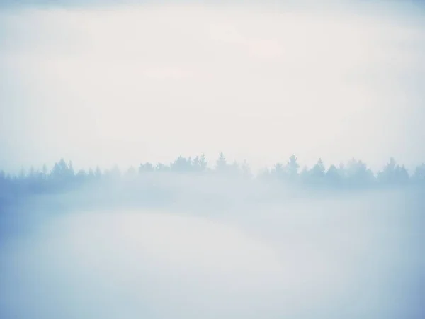 Dromerige landschap verloren in de dikke mist. Fantastische ochtend gloeiende door zacht zonlicht, mistige vallei. — Stockfoto