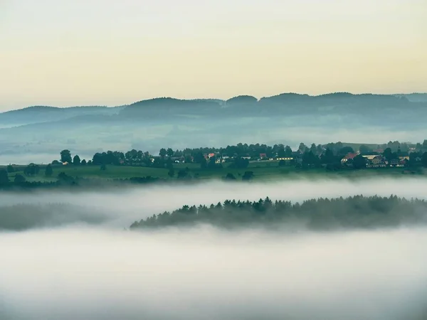 青い朝、岩と光の霧の深い谷に新鮮な緑の木々 の景色。夢のような春の風景 — ストック写真