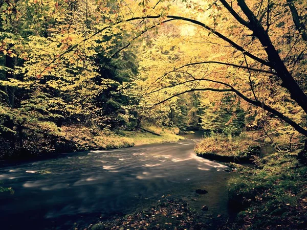 Renkli sonbahar woods ve tabiatı nehirde dağ arasında yürümek. Sonbahar orman — Stok fotoğraf