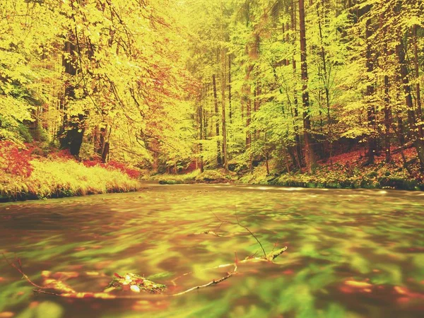 Drömmande solnedgången över berg i höst skogen. Färgglada dimma mellan träden på flodstränderna — Stockfoto