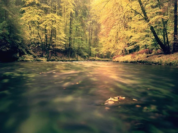 Hermoso paisaje con río salvaje en bosque otoñal —  Fotos de Stock