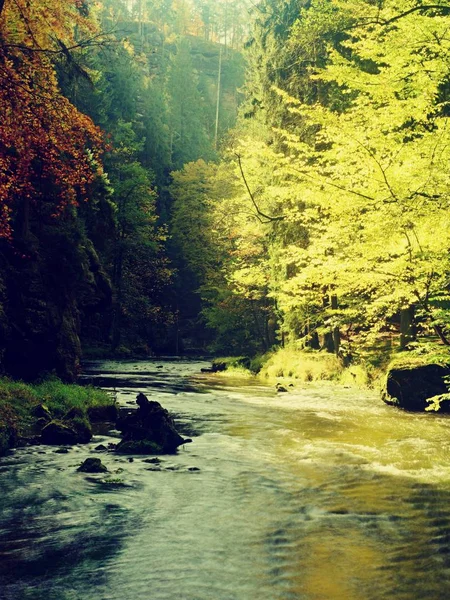 Spaziergang durch bunte Herbstwälder und Gebirgsfluss im Naturschutzgebiet. Herbstwald — Stockfoto