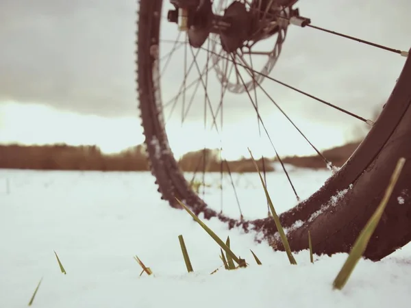 Ciclista en bicicleta de montaña en la colina nevada. Paisaje cubierto de nieve fresca . — Foto de Stock