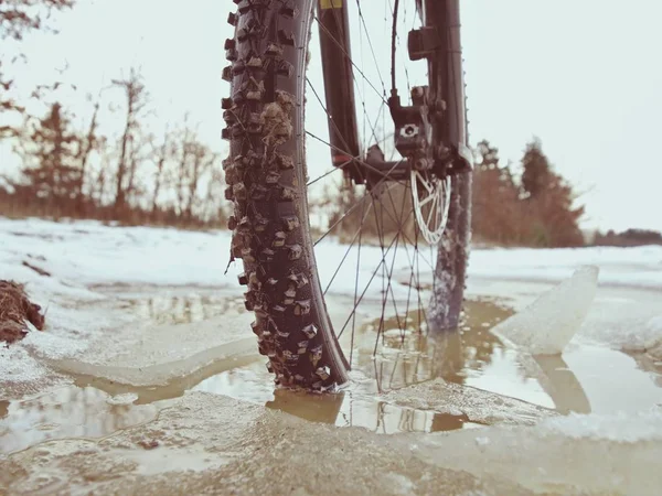 Framhjulet av mtb blockeras i ivy pool, extrem cykling i vinterlandskap. Trasiga isflak — Stockfoto