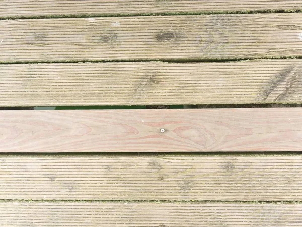 Suelo de madera natural de granero con musgo verde o cubierta de liquen. Tableros o tablones de madera dura — Foto de Stock