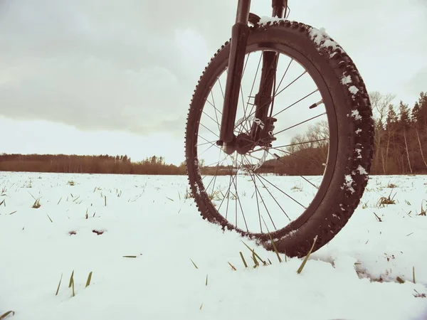 Przednie koło roweru górskiego podczas śniegu, jazda konna. — Zdjęcie stockowe