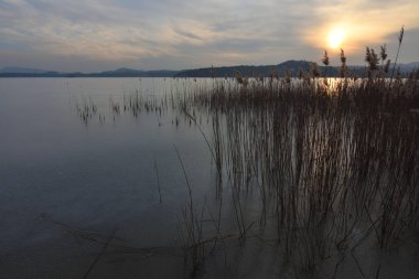 Donmuş nehir sazlık ve günbatımı gökyüzü ile kış manzarası.