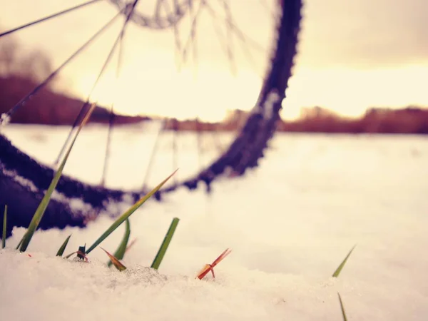 Mountain bike em neve em pó. Caminho perdido no snowdrift. Detalhe da roda — Fotografia de Stock