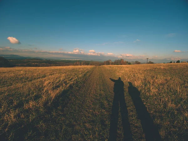 Shadows of man and son on lawn yellow green background. Epty field in autumn