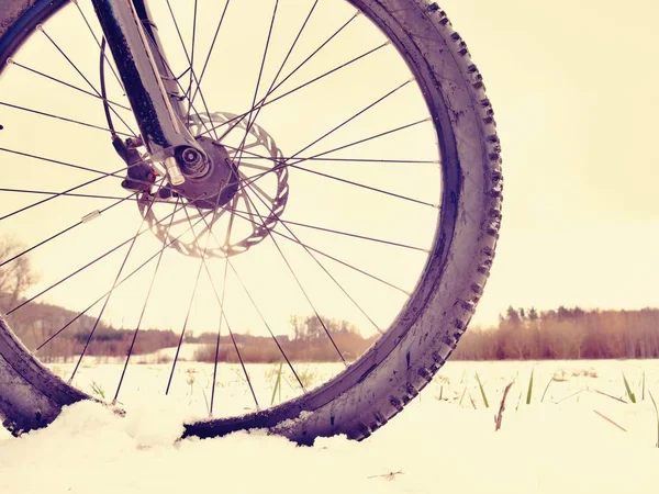 Mountainbike i pudersnö. Förlorade sökvägen i snödriva. Hjulet detalj — Stockfoto